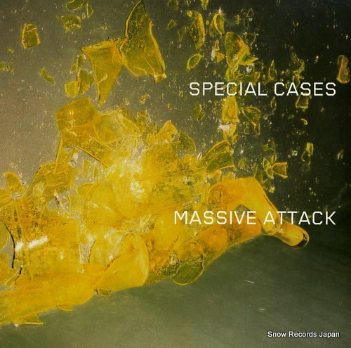 MASSIVE ATTACK special casaes VST1839/VST1939