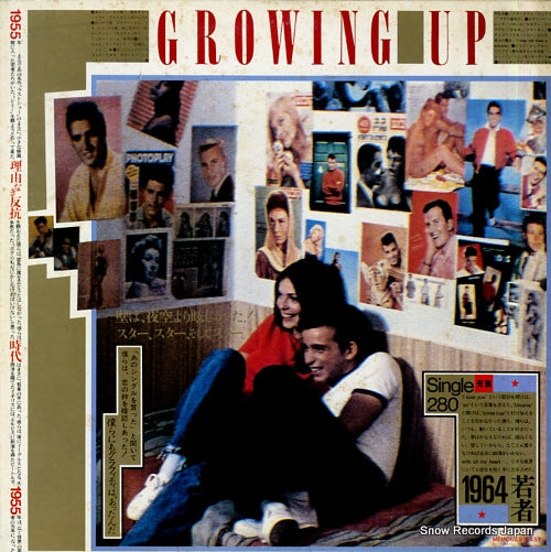 V/A golden memories / growing up going steady 28.3P-380