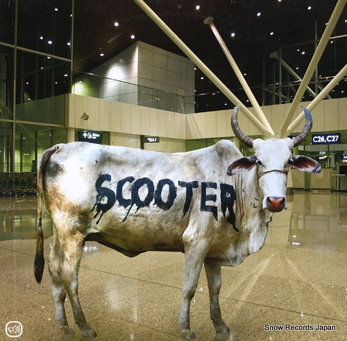 SCOOTER behind the cow 0177950STU / SCOOT13
