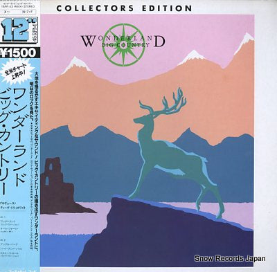 BIG COUNTRY wonderland 15PP-43