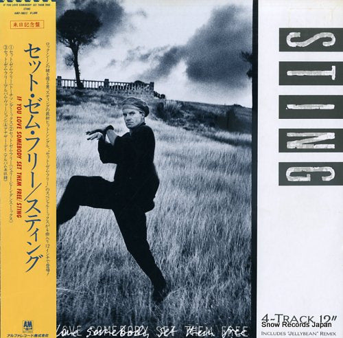 STING if you love somebody set them free AMP-18052