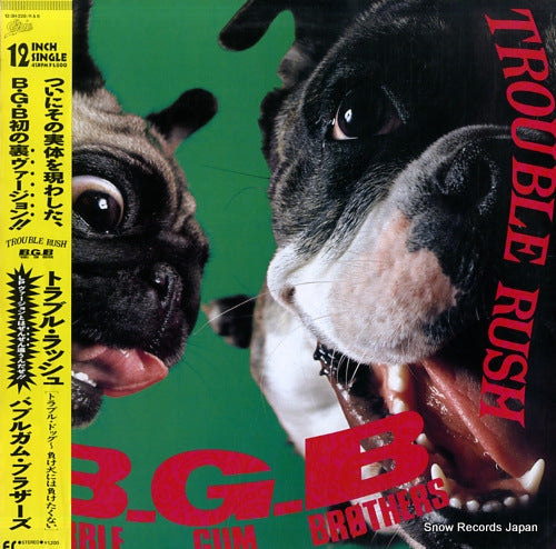 BUBBLE GUM BROTHERS, THE trouble rush 12.3H-228