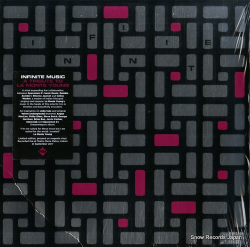 INFINITE MUSIC a tribute to la monte young FIRELP527