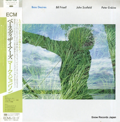 JOHNSON, MARC bass desires 25MJ3537