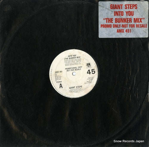 GIANT STEPS into you AMX451