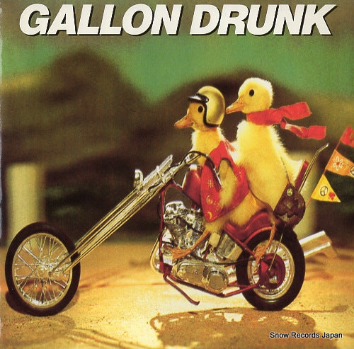 GALLON DRUNK some fools mess HUNKA006