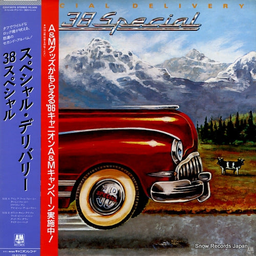 38 SPECIAL special delivery C25Y3070