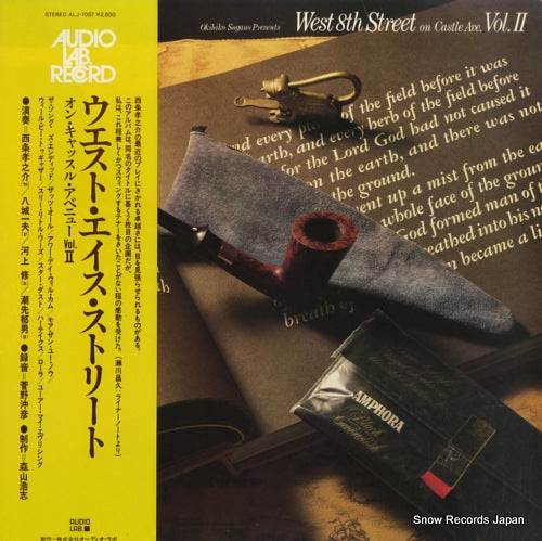 WEST 8TH STREET on castle ave. vol.ii ALJ-1057
