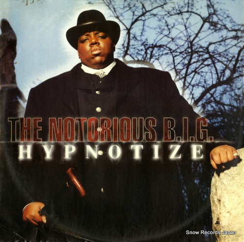 NOTORIOUS B.I.G., THE hypnotize 74321466411