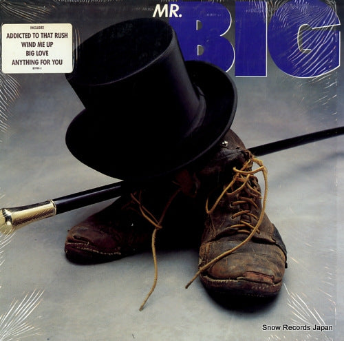 MR. BIG mr. big 781990-1