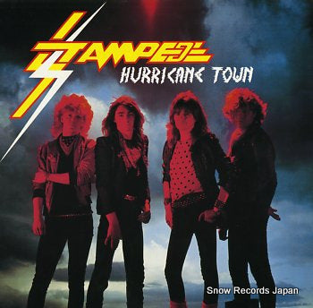 STAMPEDE hurricane town 28MM0305