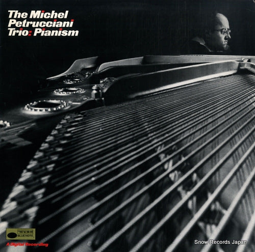 PETRUCCIANI, MICHEL pianism BT85124