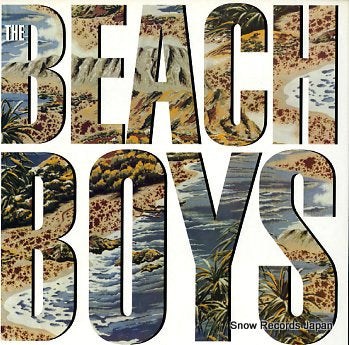 BEACH BOYS, THE the beach boys 4673631