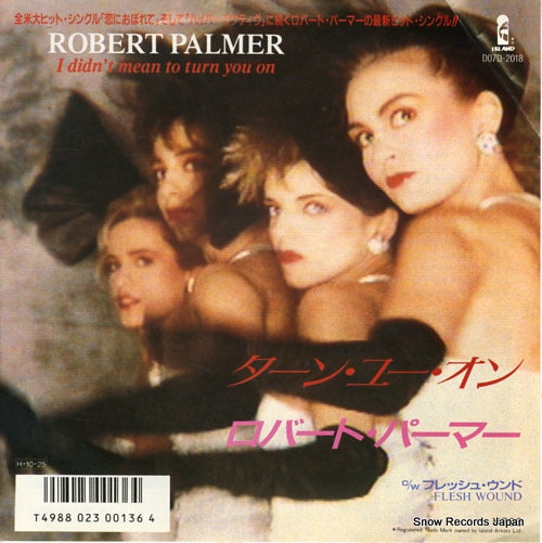 PALMER, ROBERT i didn't mean to turn you on D07D-2018