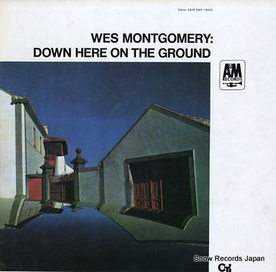 MONTGOMERY, WES down here on the ground AMP-18002