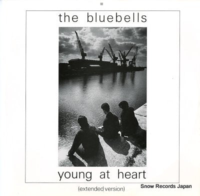 BLUEBELLS, THE young at heart LONX49