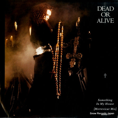 DEAD OR ALIVE something in my house (mortevicar mix) BURNST1