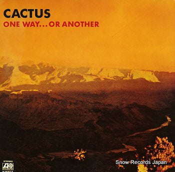 CACTUS one way or another P-8051A