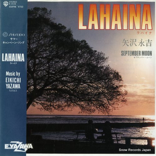 YAZAWA, EIKICHI lahaina K-1516