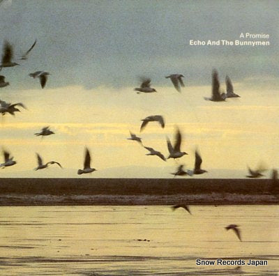 ECHO AND THE BUNNYMEN a primise KOW15
