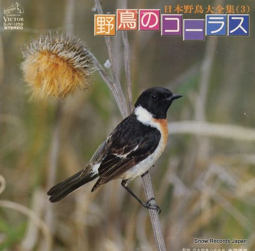 NIHON YACHO DAIZENSHU nihon yacho daizenshu 3 / yacho no chorus SJV-1259