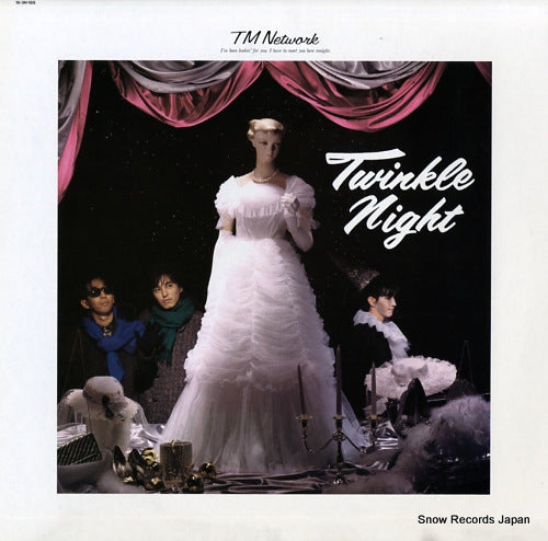 TM NETWORK twinkle night 15.3H-185