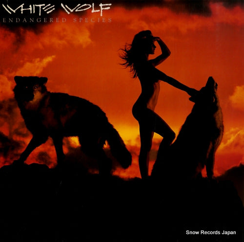 WHITE WOLF endangered species PL71025