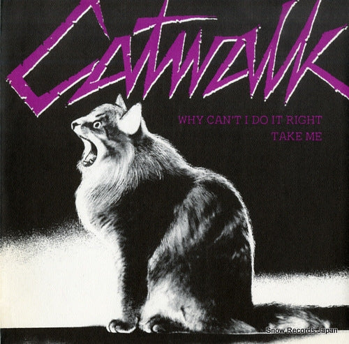 CATWALK why can't i do it right PIS169