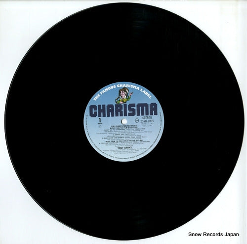 25VB-1095 disc
