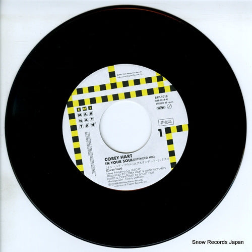 BRP-1018 disc