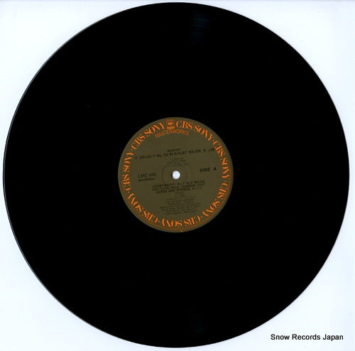 13AC446 disc