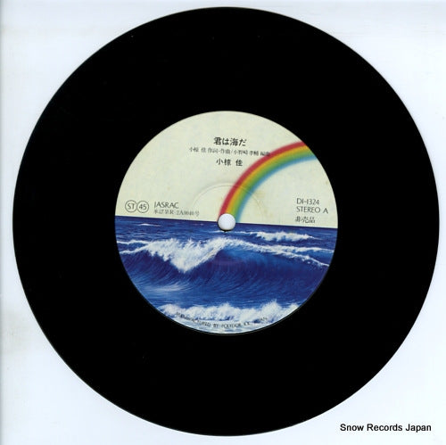DI-1324 disc