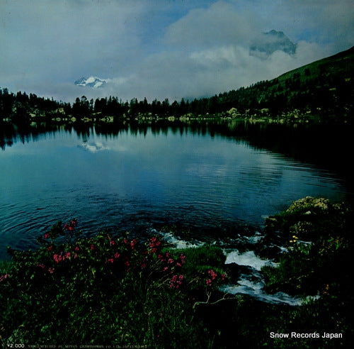 SMG-2036 back cover