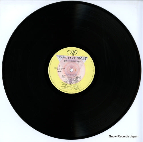 30022-25 disc