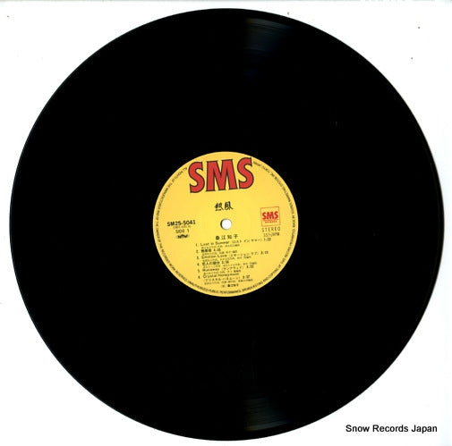 SM25-5041 disc