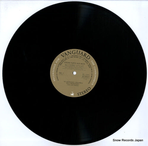 GT9317 disc