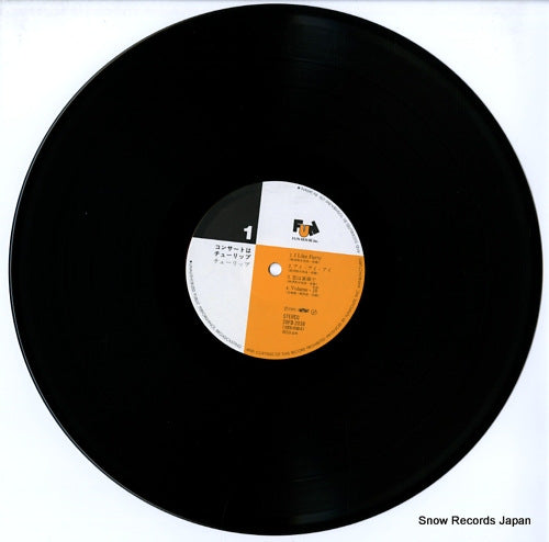 20FB-2038 disc