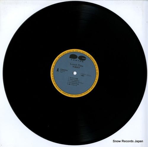 C28A0559 disc