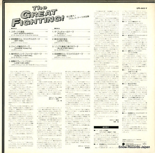 UPS-663-V back cover