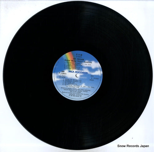 P-13621 disc