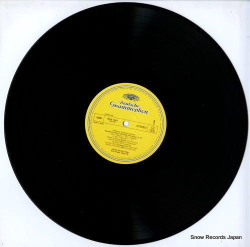 MGX7067 disc