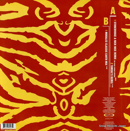 FESX33 back cover