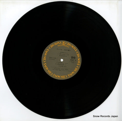 28AC1393 disc