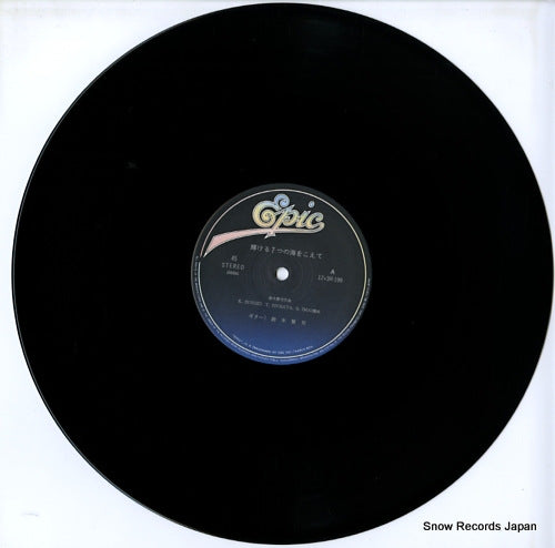 12.3H-199 disc