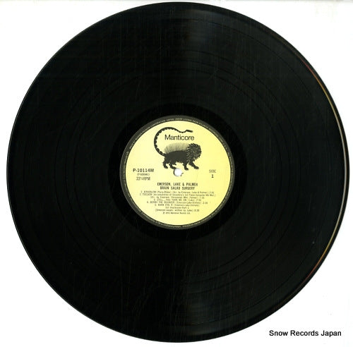 P-10114M disc