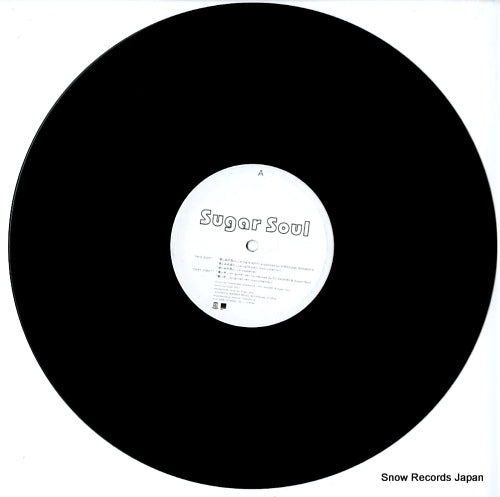 FLV-2006 disc