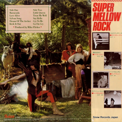 25AP585 back cover