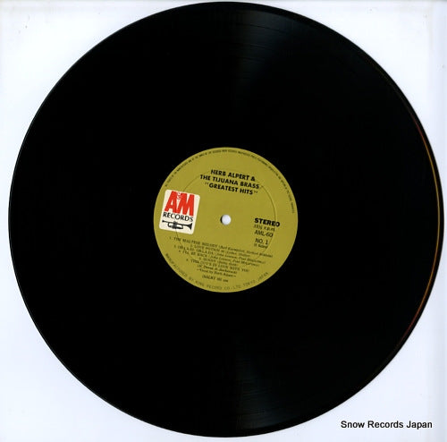 AML60 disc