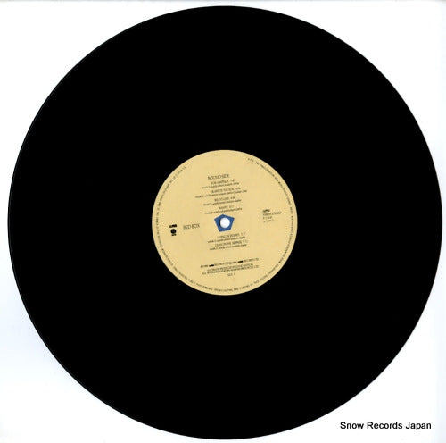 P-13441 disc