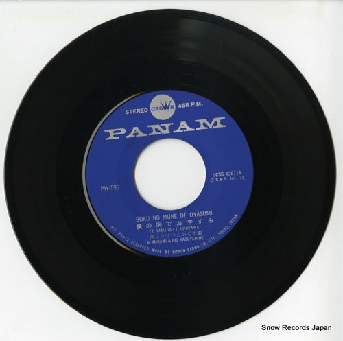 PW-539 disc